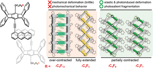 Mechanically Coupled Supramolecular Scissors Govern Photomechanical and Elastic Responses in Molecular Crystals Graphical Abstract